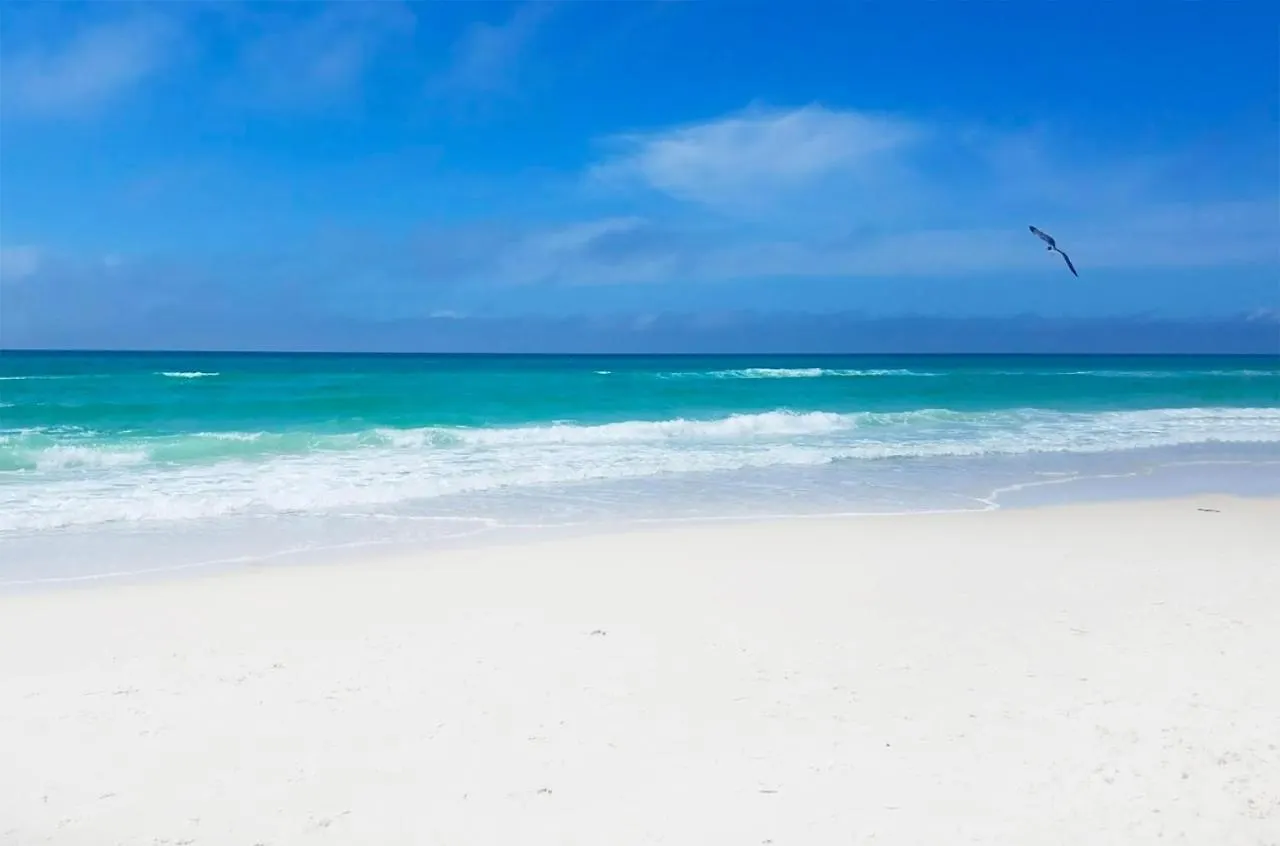 Horizon South 40C- Good Vibes Βίλα Panama City Beach Σπίτι διακοπών